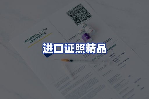 进口证件页面制证